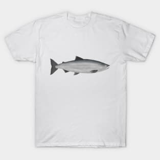 Sockeye Salmon - Ocean Phase T-Shirt